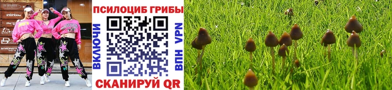 Галлюциногенные грибы GOLDEN TEACHER  дарк нет какой сайт  Тула 